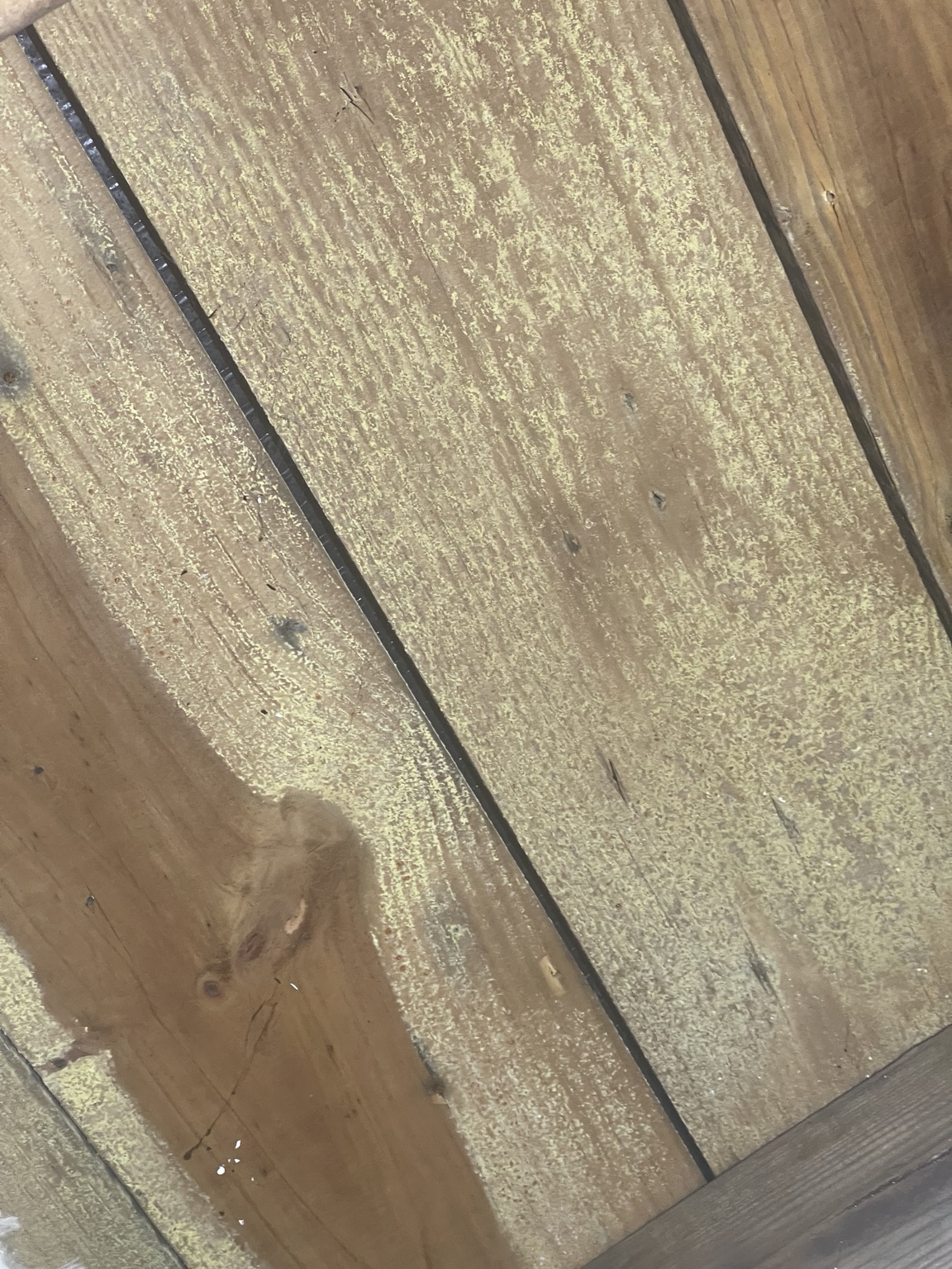 Wood surface before mold remediation