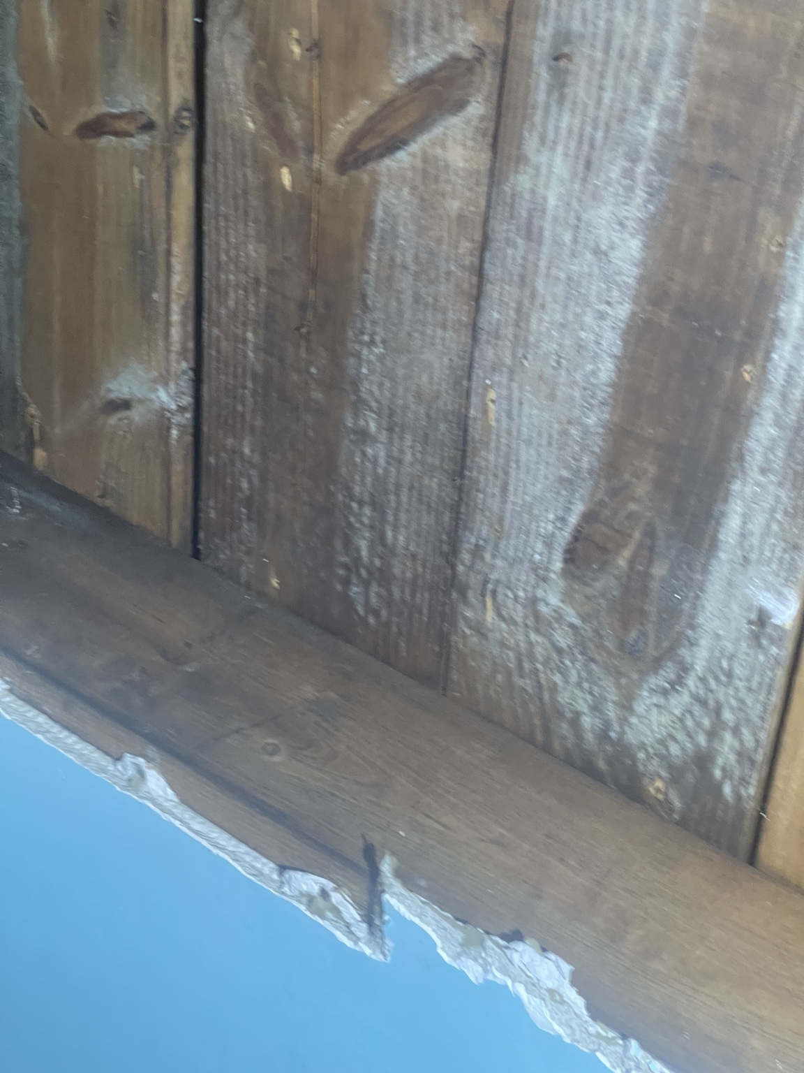 Additional wood surface before remediation